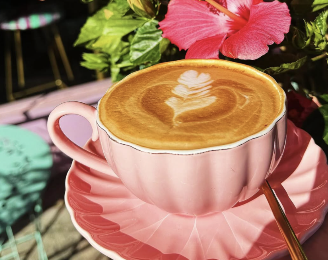 Top 10 Albanian Cafes & Bakeries in New York City & Surrounding Areas