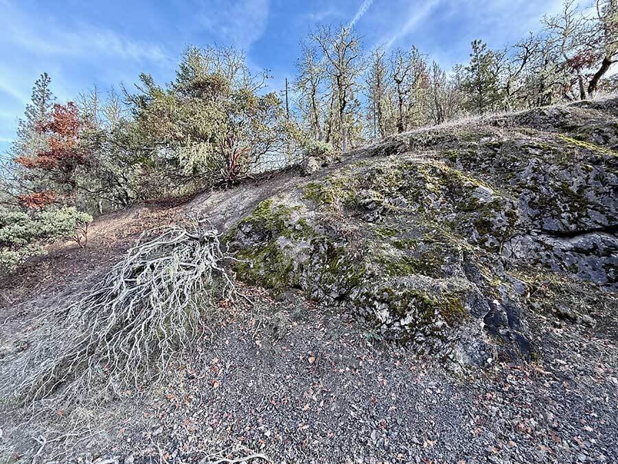 No Show This Week; Thoughts On Darkness