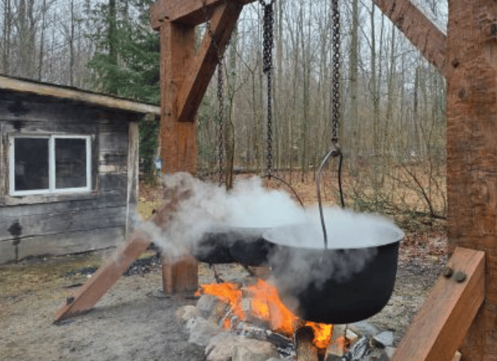 🍦 Family Art, Fashion Show, Maple Syrup Fest & Comicon