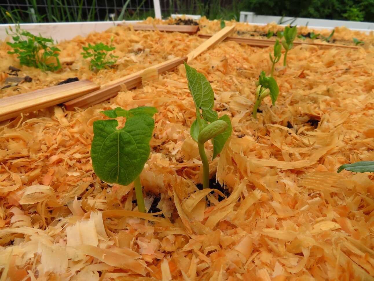 Opportunities and Expectations