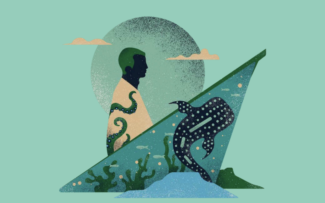 Wildscreen Festival: l'evento imperdibile per chi realizza documentari naturalistici