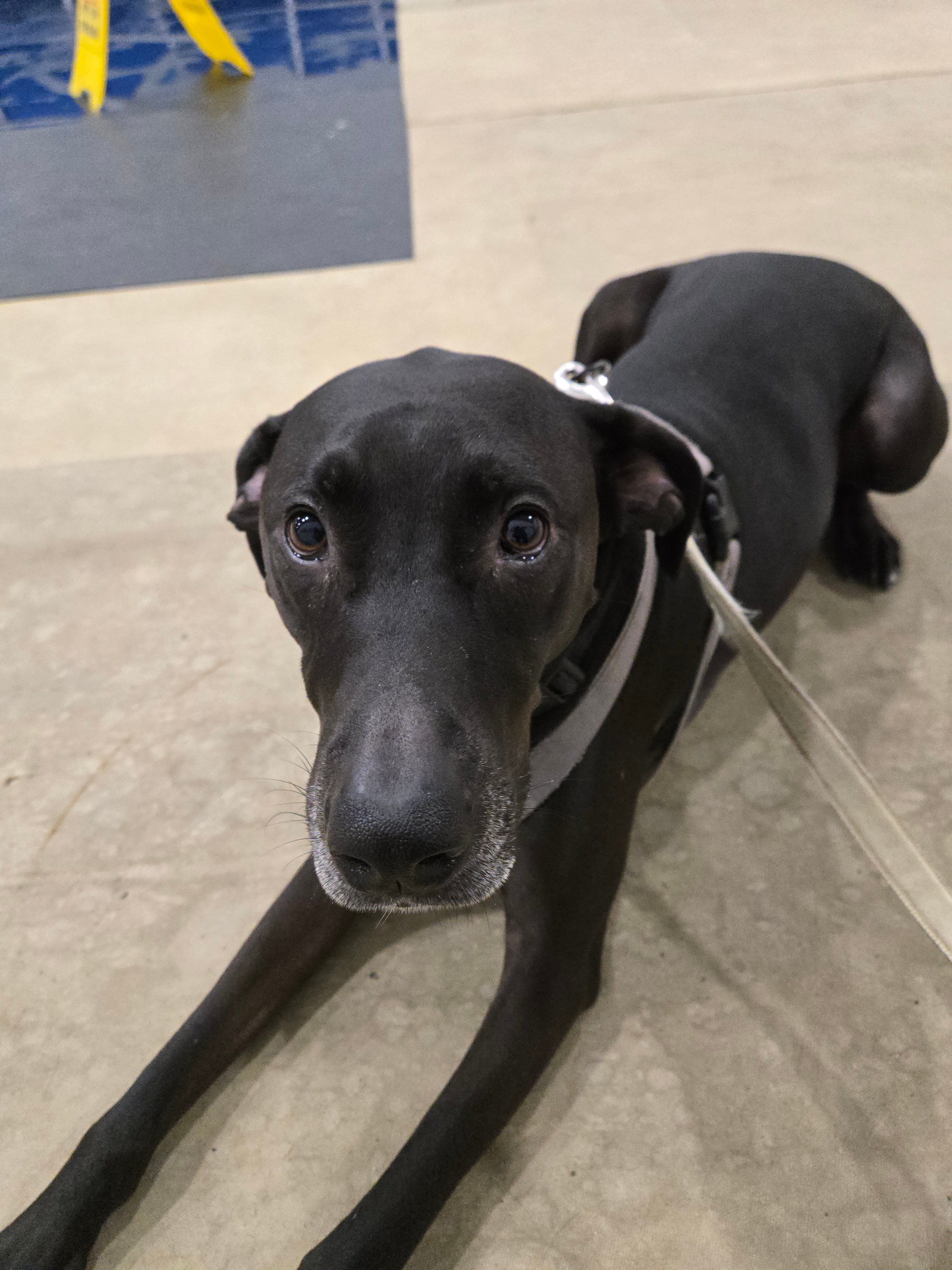 #AcademicRunPlaylist - 2/19/26