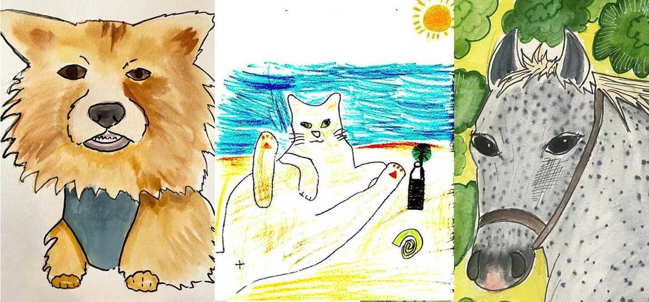 Amazingly Bad Pet Portraits Offered by Oakland Animal Services