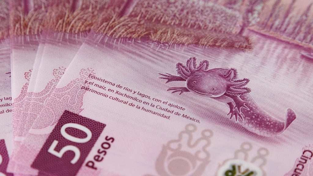 Mexicans Are Refusing to Spend this $50 Peso Bill