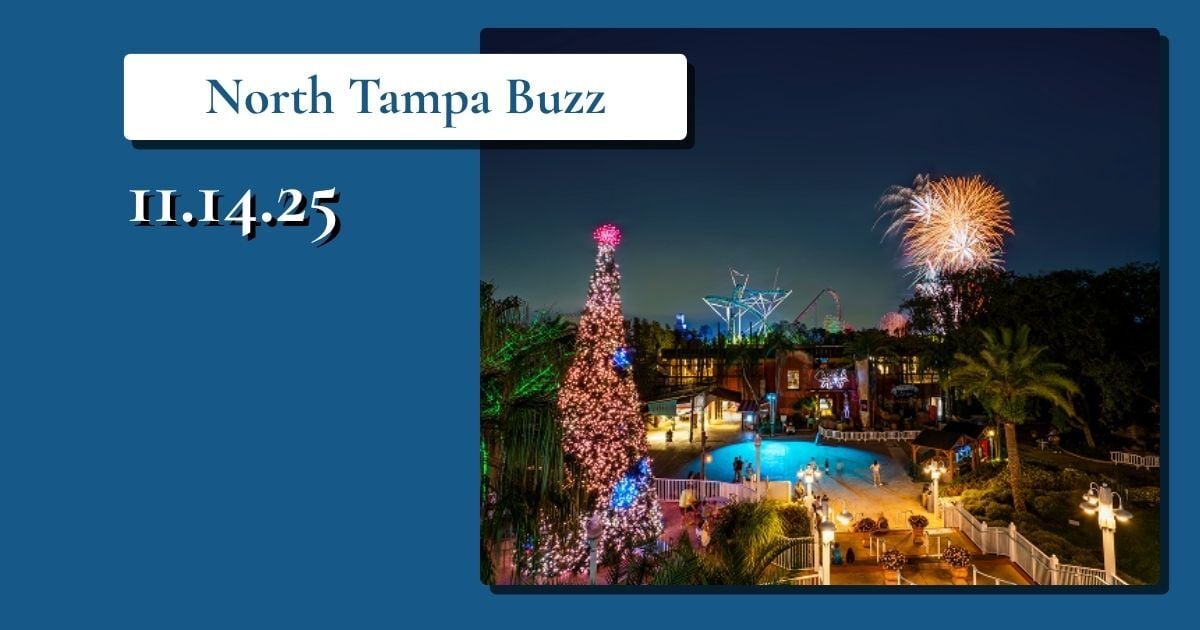 🎖️🏈 A 100-Year Hero and Huge Playoff Night Ahead