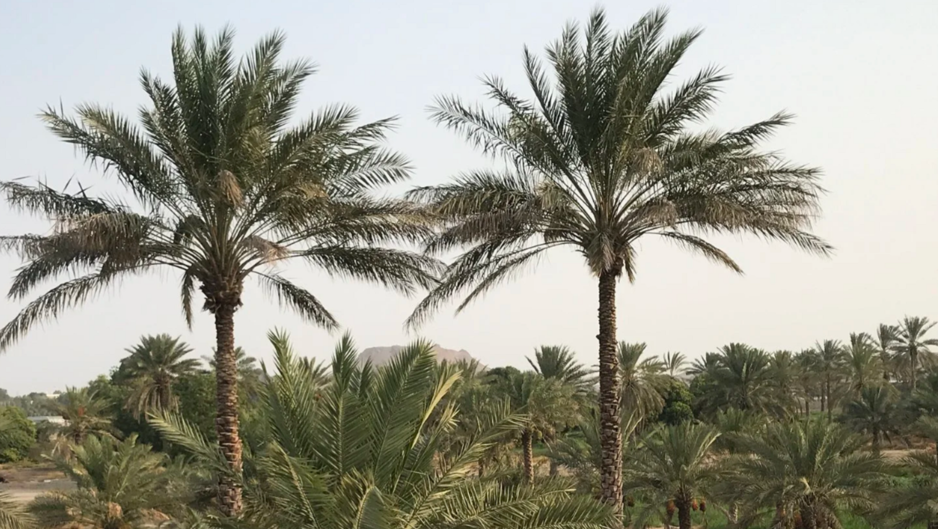 Designing the Year Ahead: Retreats, Retail & Building With Intention