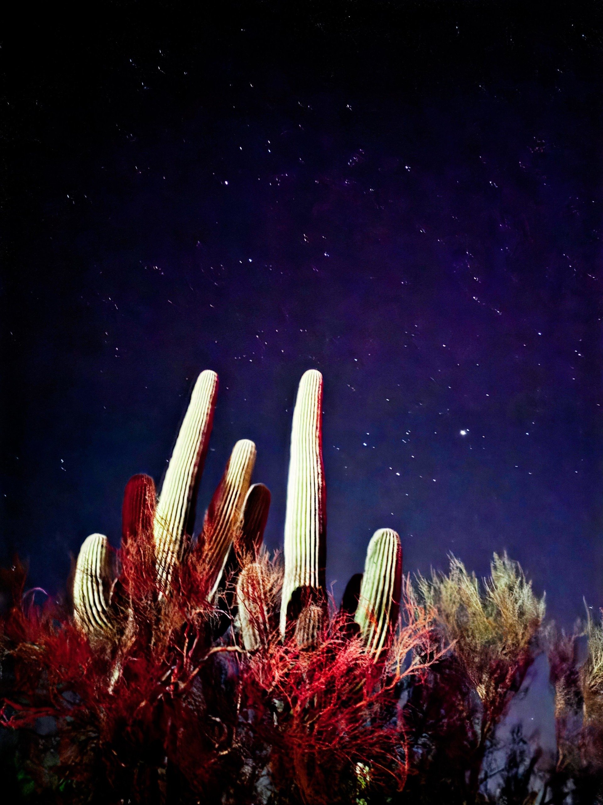 A Sky Full of Stars, A Heart Full of Perspective and Summer Camps