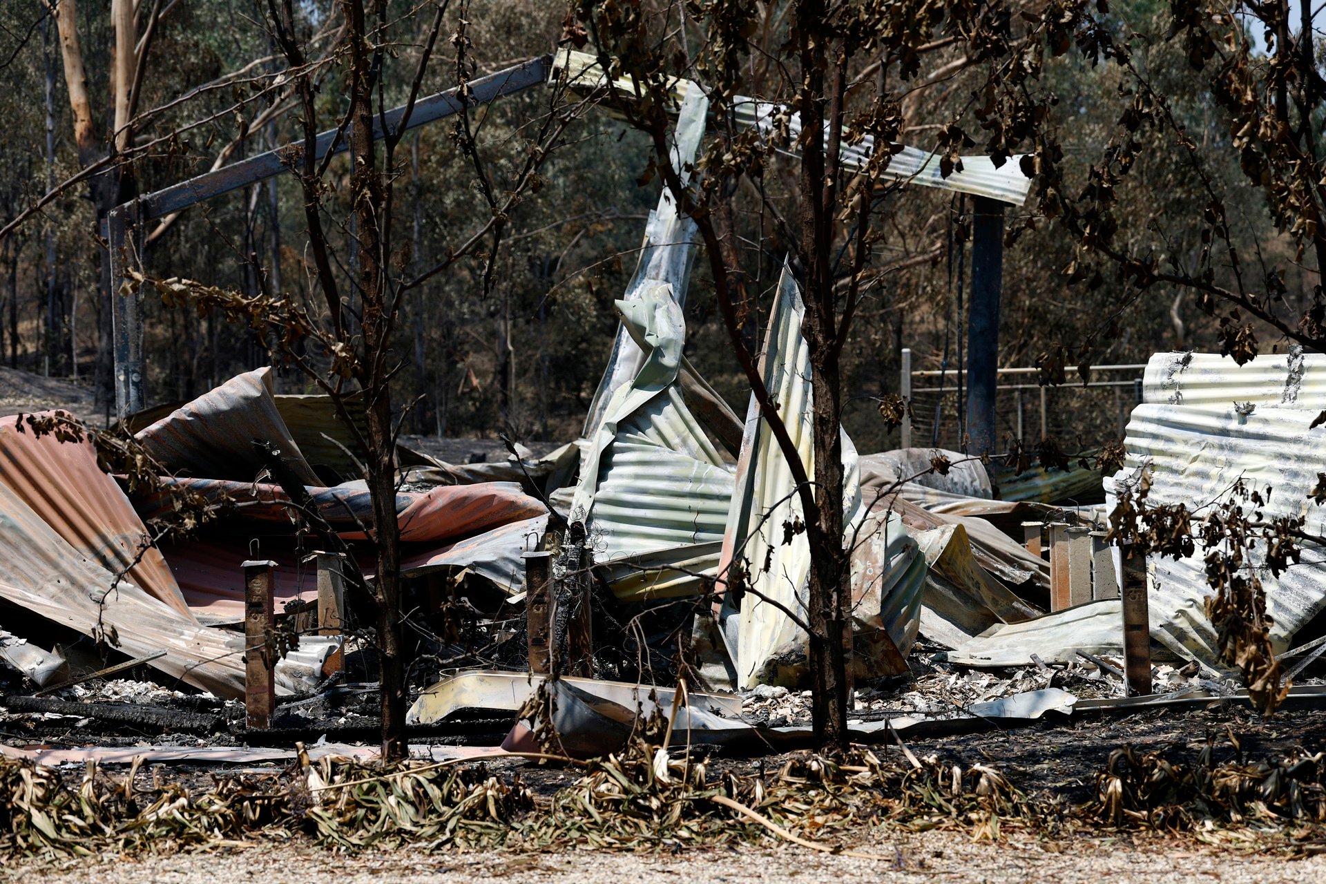 Newsletter: The invisible risk of heat and bushfire insurance claims