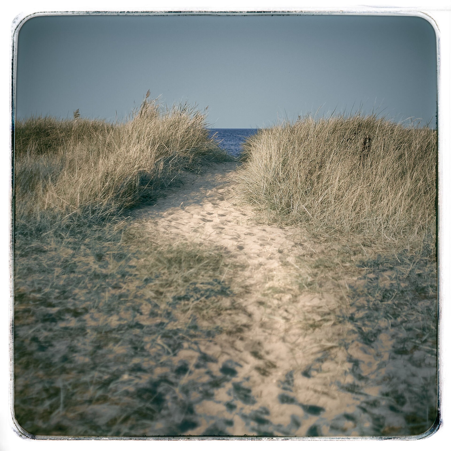 The Escape is Imminent!