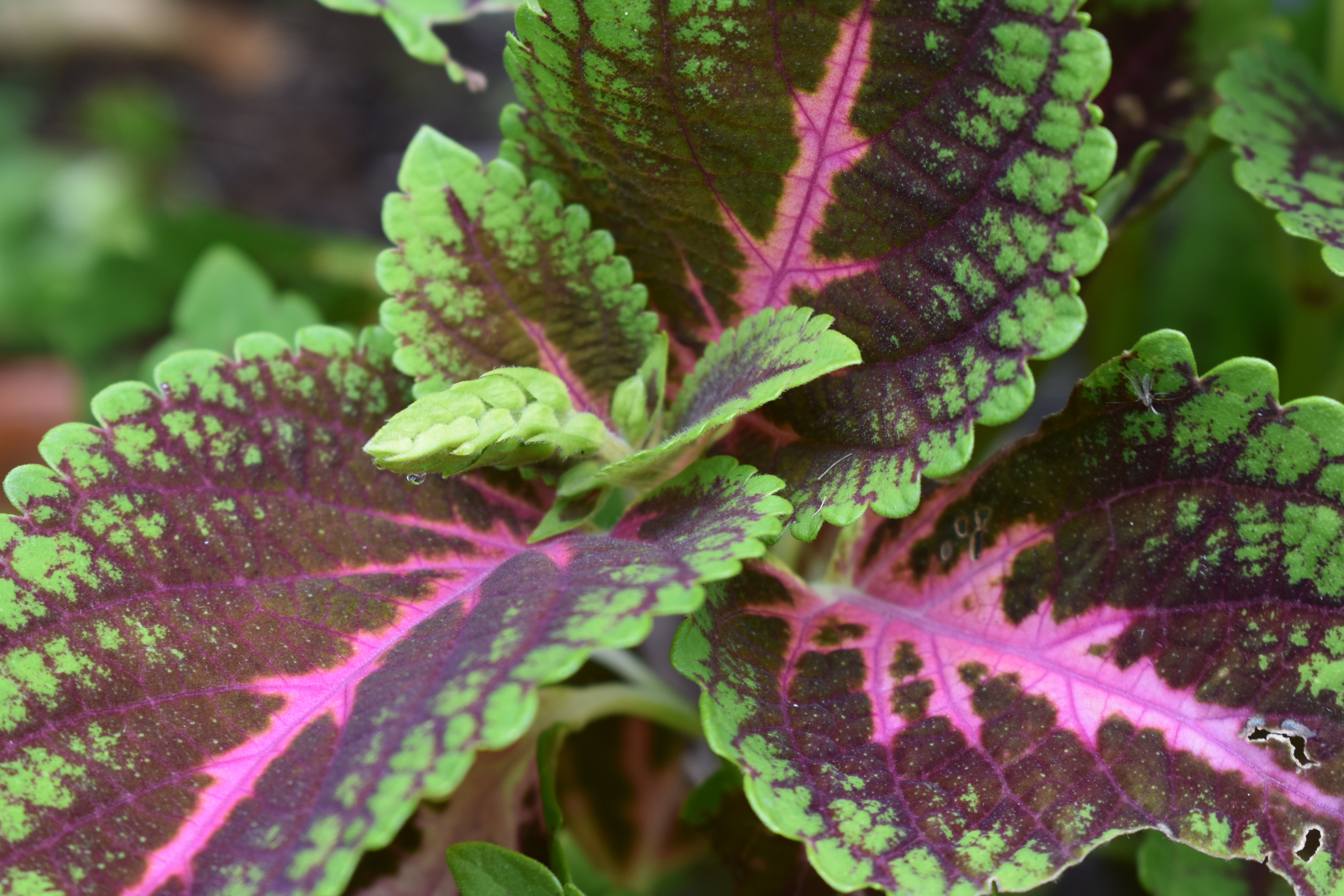 How to train your therapist