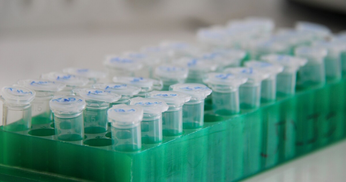 GLP-1 Receptor Agonists Are Rewriting Longevity Medicine