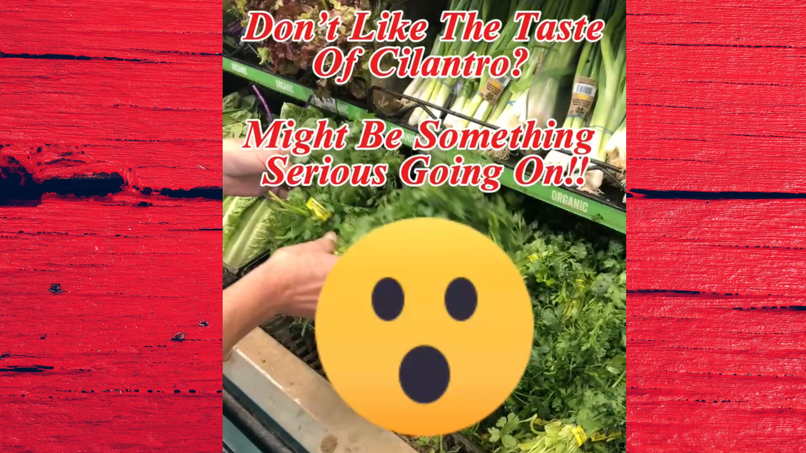 Don’t Like the Taste of Cilantro? You May Have Something Serious Going On! 