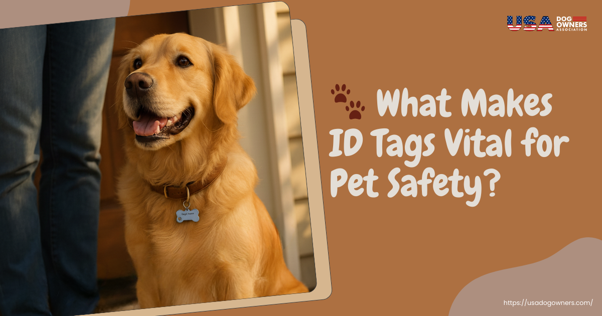 🐾 What Makes ID Tags Vital for Pet Safety?