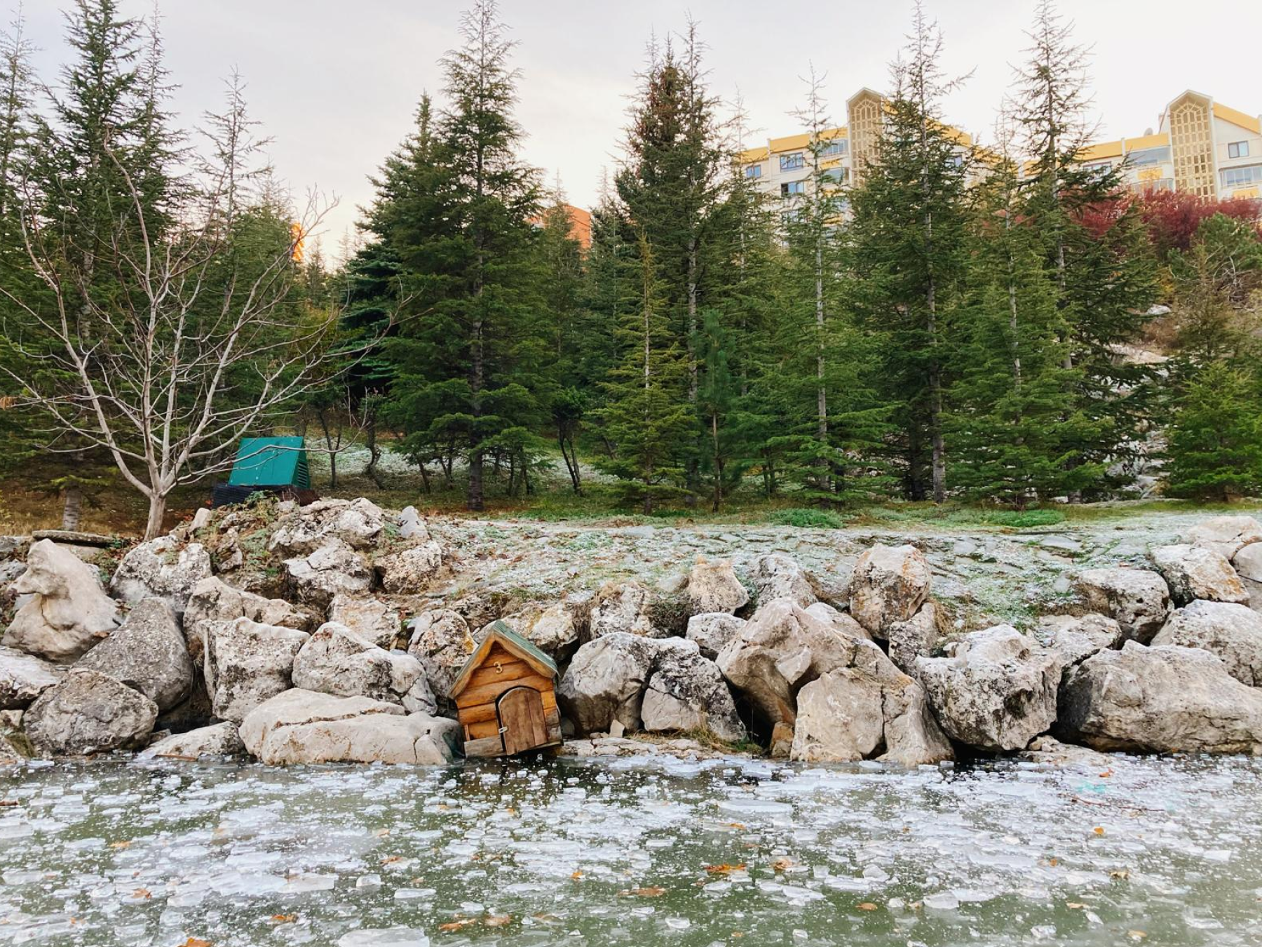 filAnkara #035: 25 Aralık-28 Aralık 2025