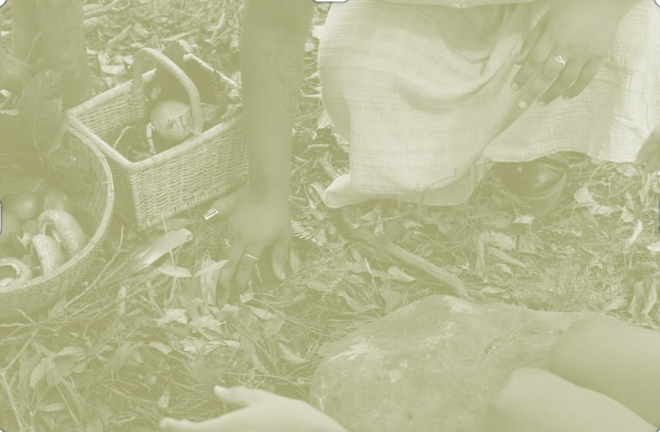 The 1% Better Newsletter