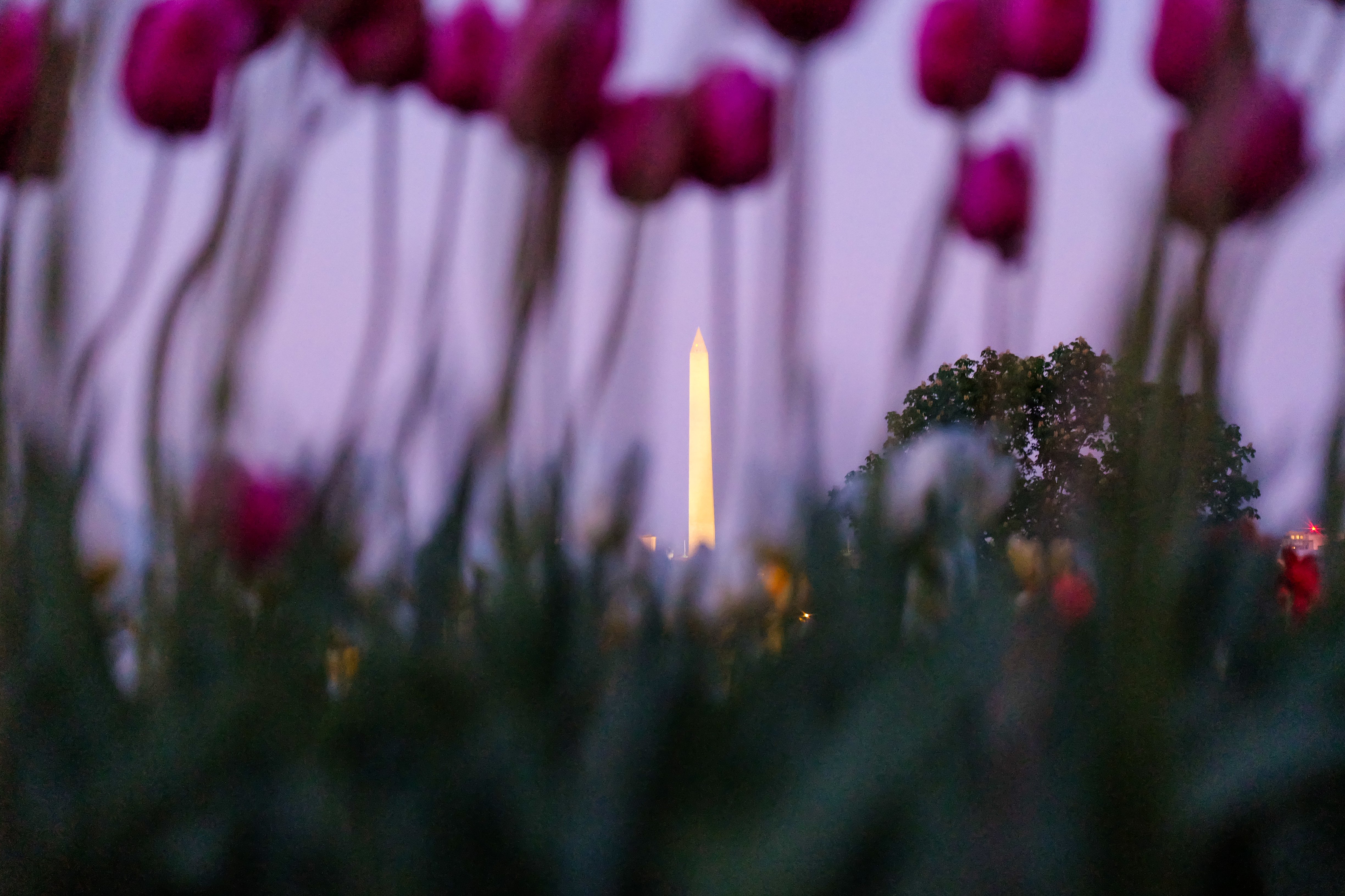 My three go-to viz tools