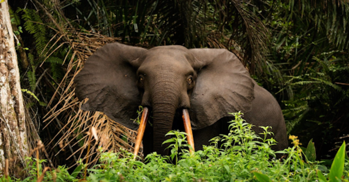 Africa in Brief - December 05, 2025