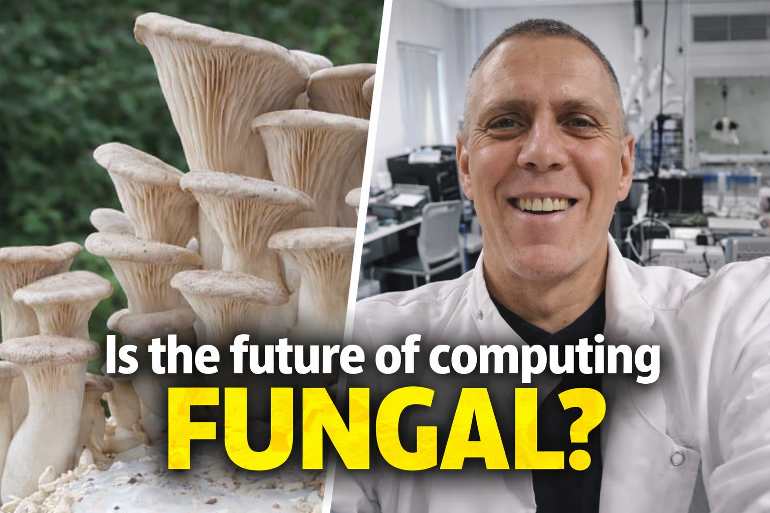 This Mad Scientist Made A Computer From A Living Mushroom, Then Used It To Build A Robot