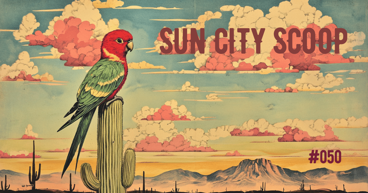 Sun City Scoop #50!!!! 😲 🙏