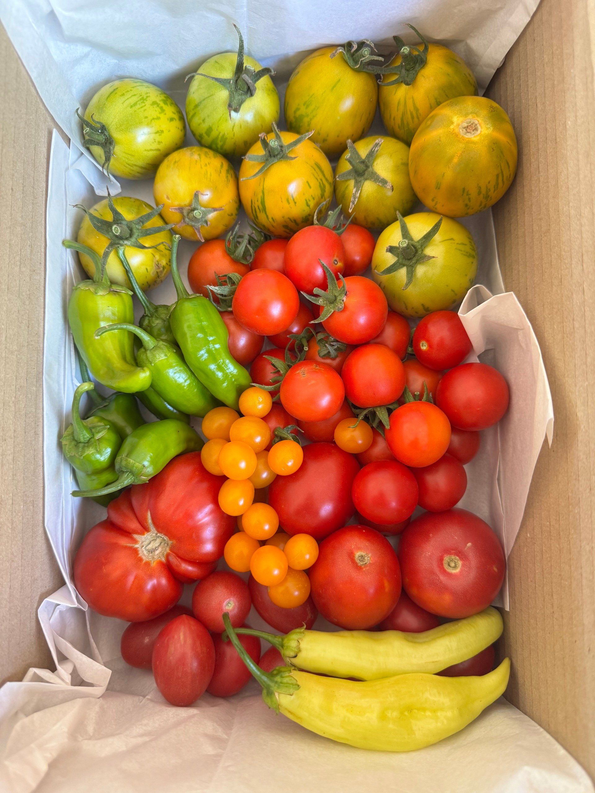  Plenitud de la huerta 