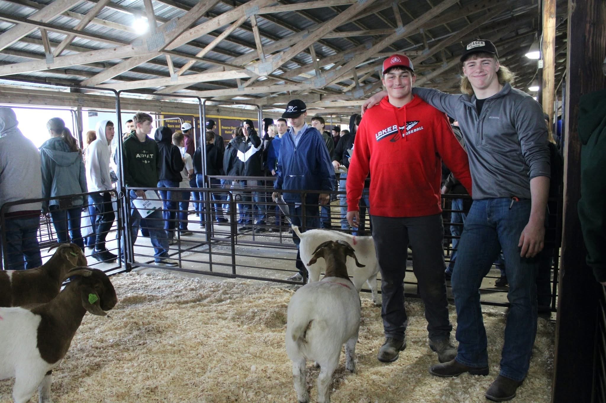 Livestock judging event draws more than 1,000 FFA members  