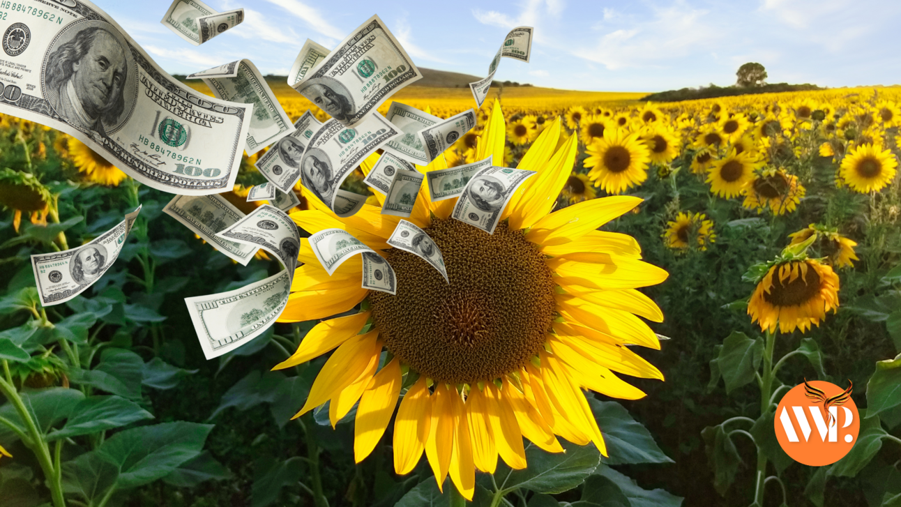 The Abundance Paradox