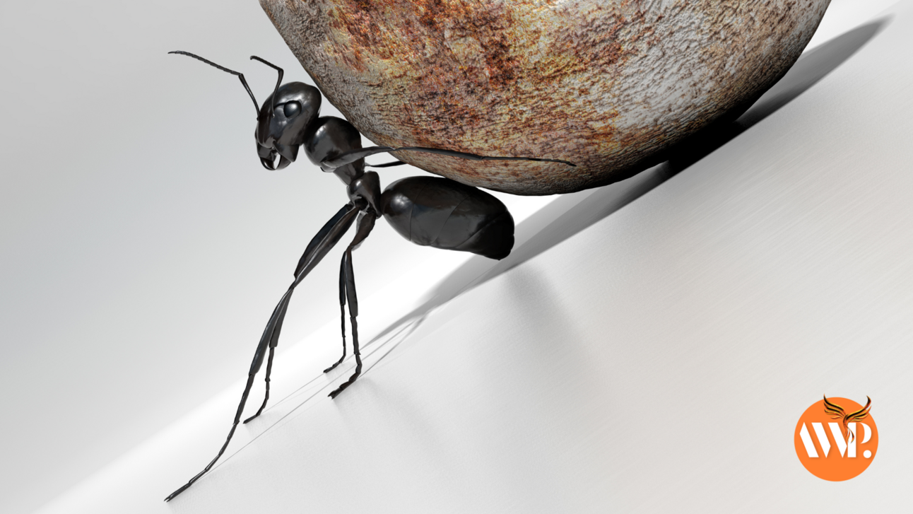 Turn Adversity into Power