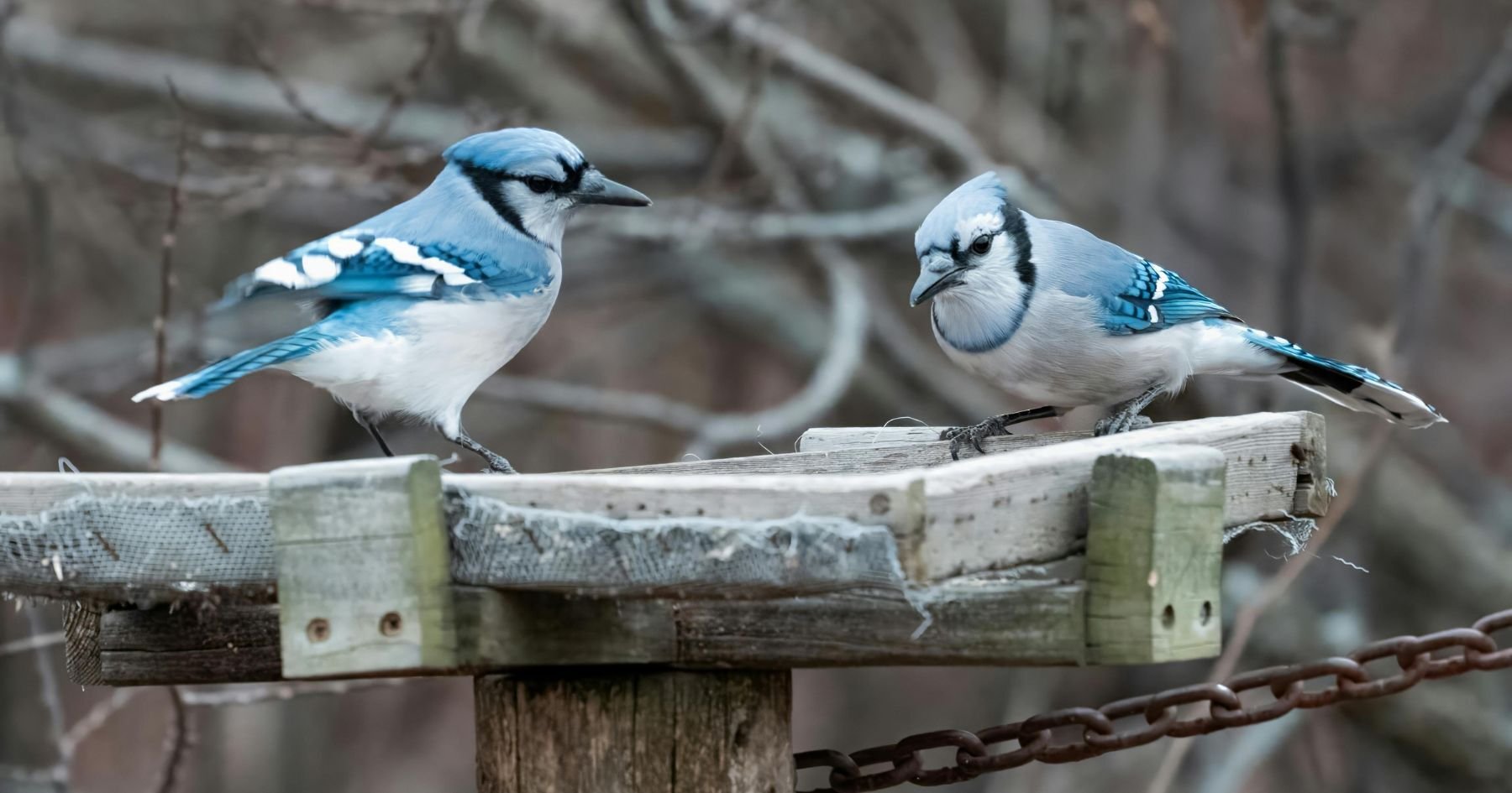 Make Stuff Week & Cooking Class Season