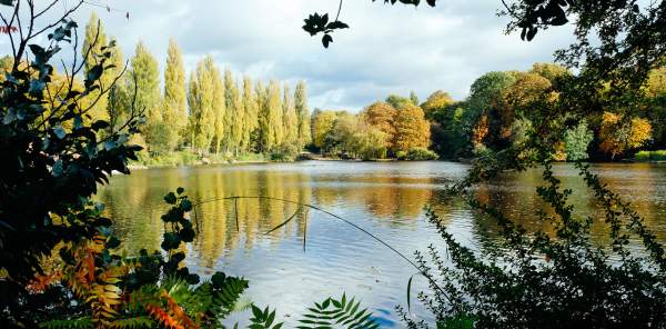 ✨ Solihull Spotlight - Big Solihull housing plans