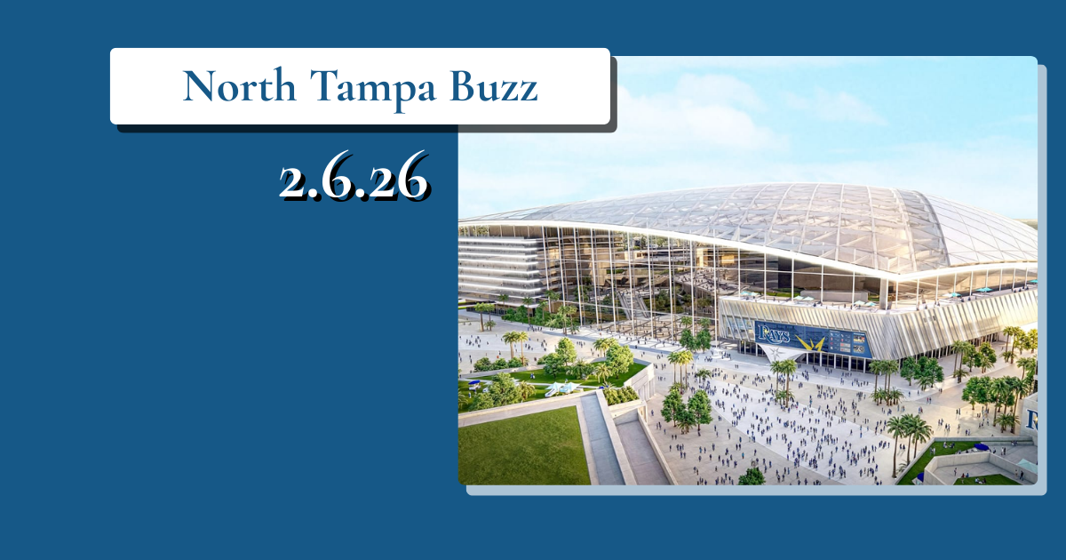 ⚾ Rays Plan 🗳️ School Vote 📈 Local Growth