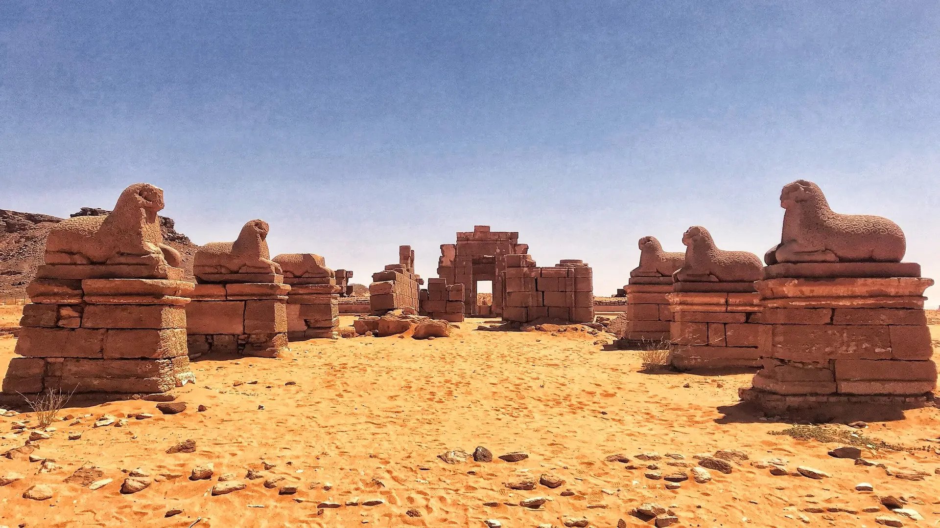 Taking the Long View