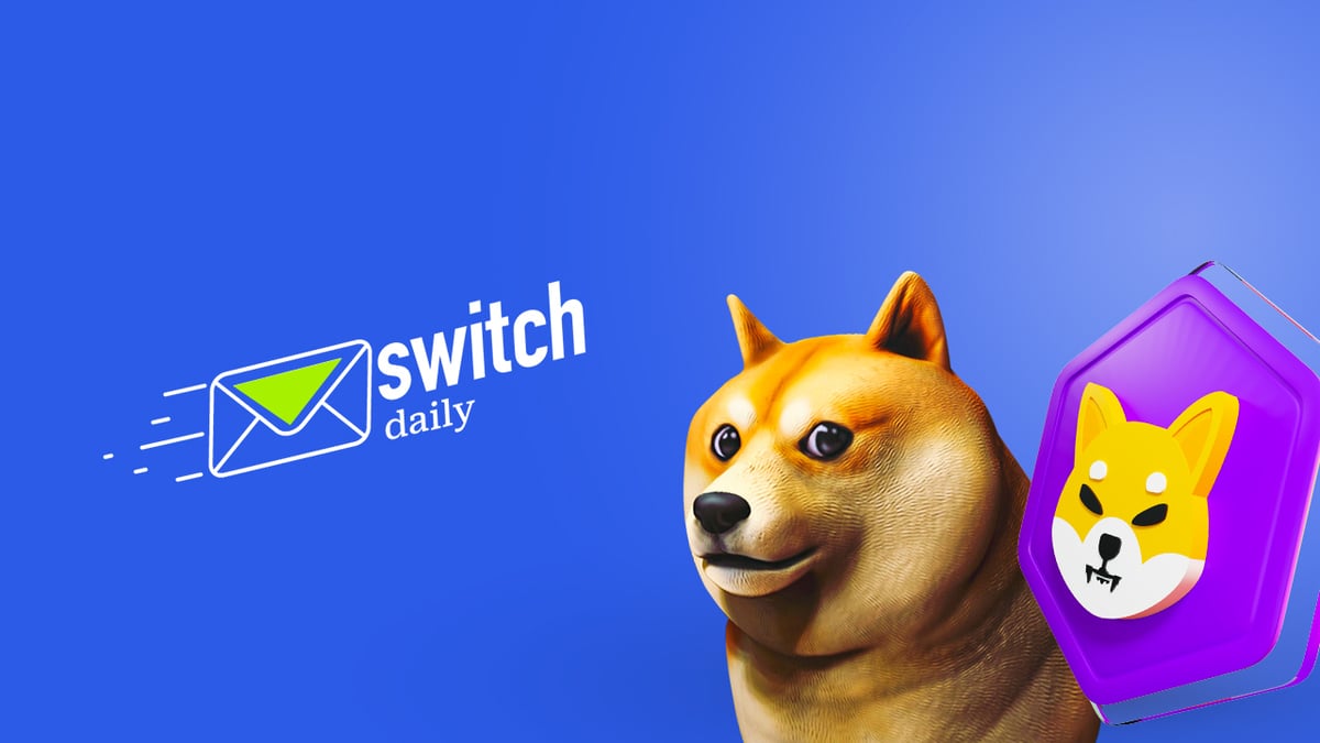 🐕 Buy the DOGE rumour, sell the SHIB news