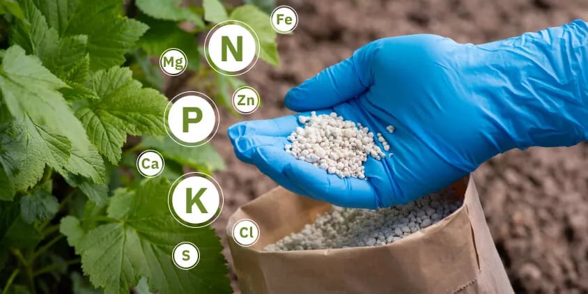 Por que o Brasil importa mais de 80% dos fertilizantes que consome e o que isso custa na prática