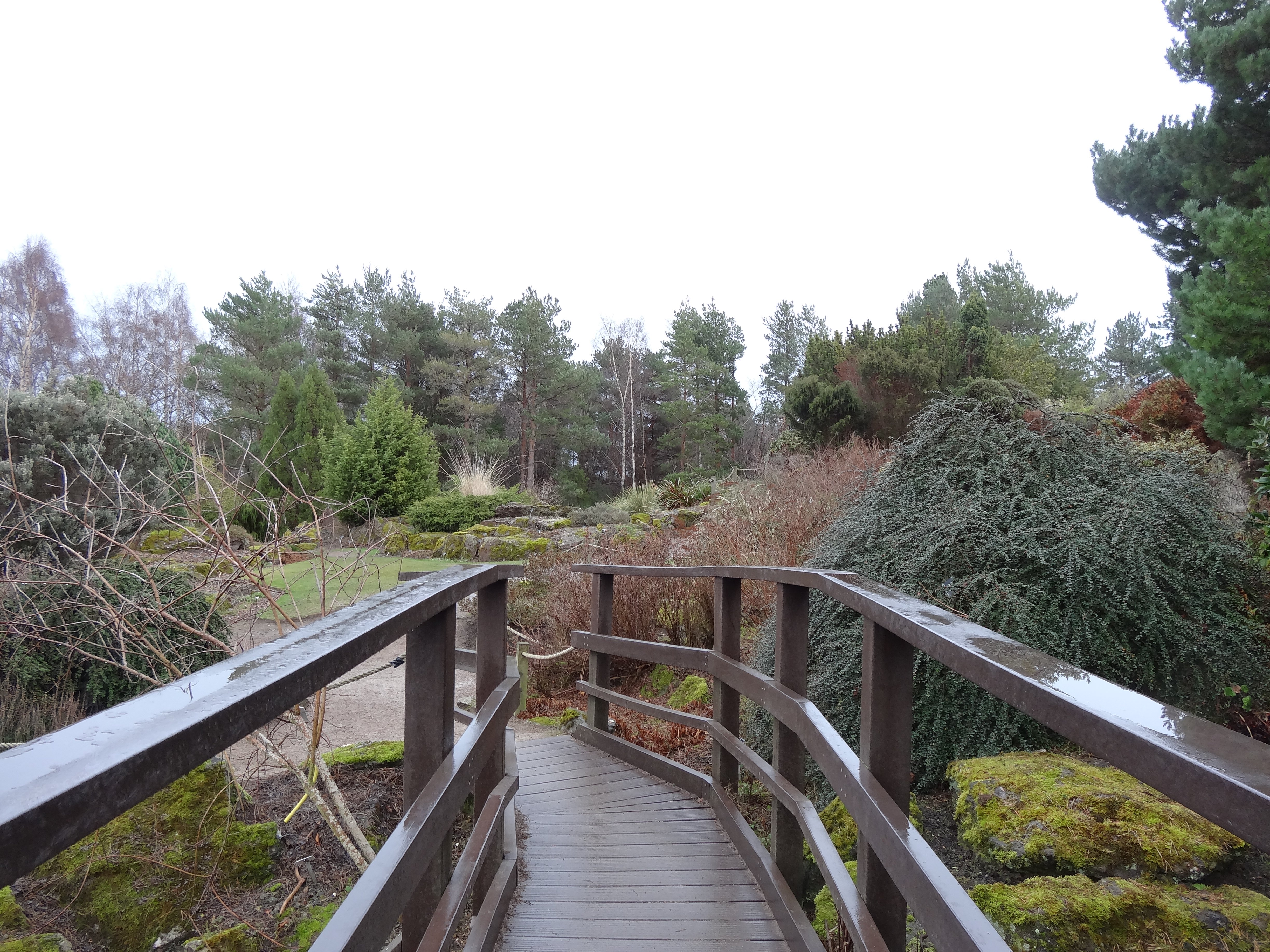 Off the Record - Tango n°5