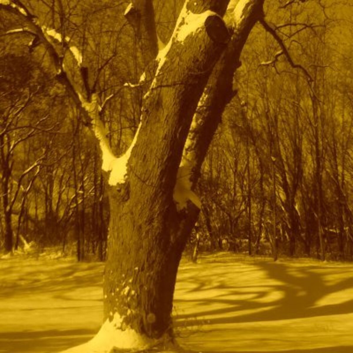 Edward Francis Jameson