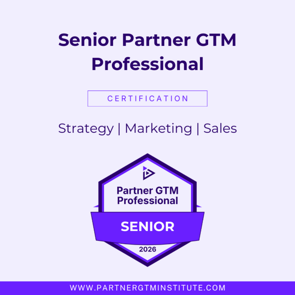 Senior PGTMP Certification (Strategy + Marketing + Sales)