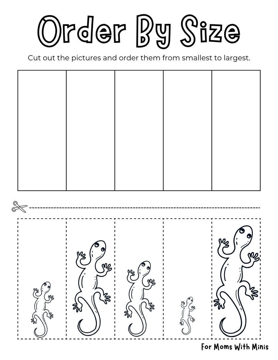 Order the Lizards by Size Worksheet