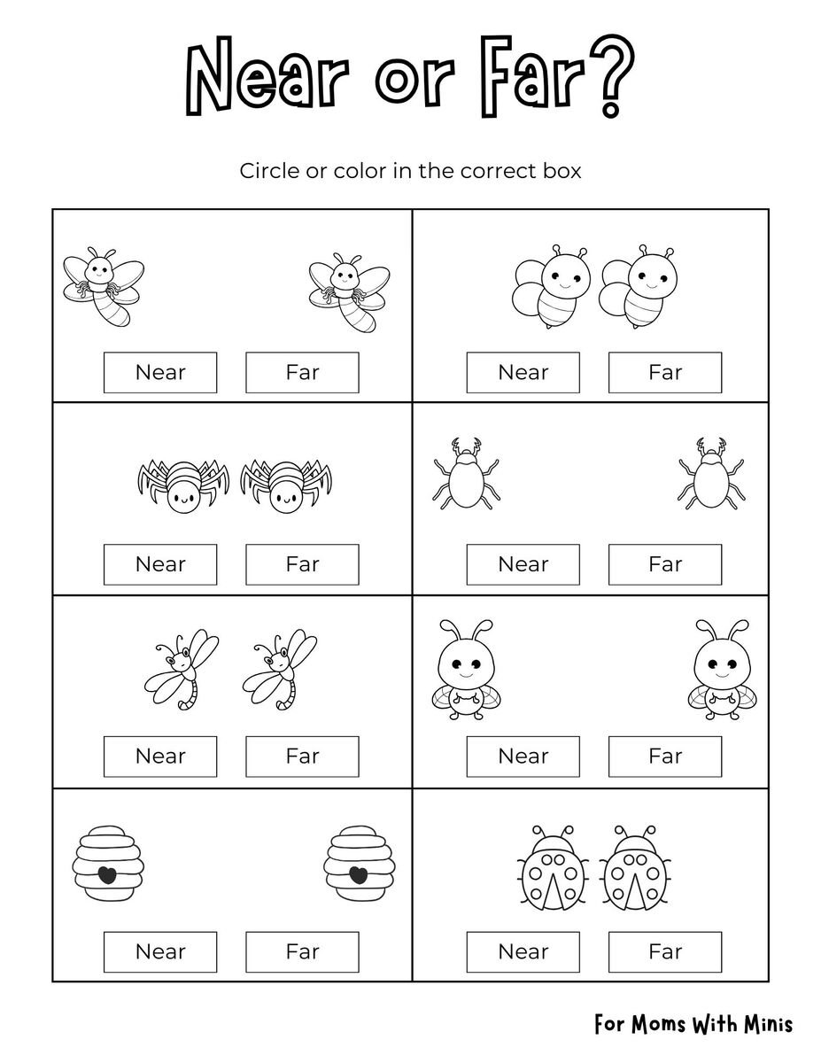 Insect-Themed Near or Far Worksheet