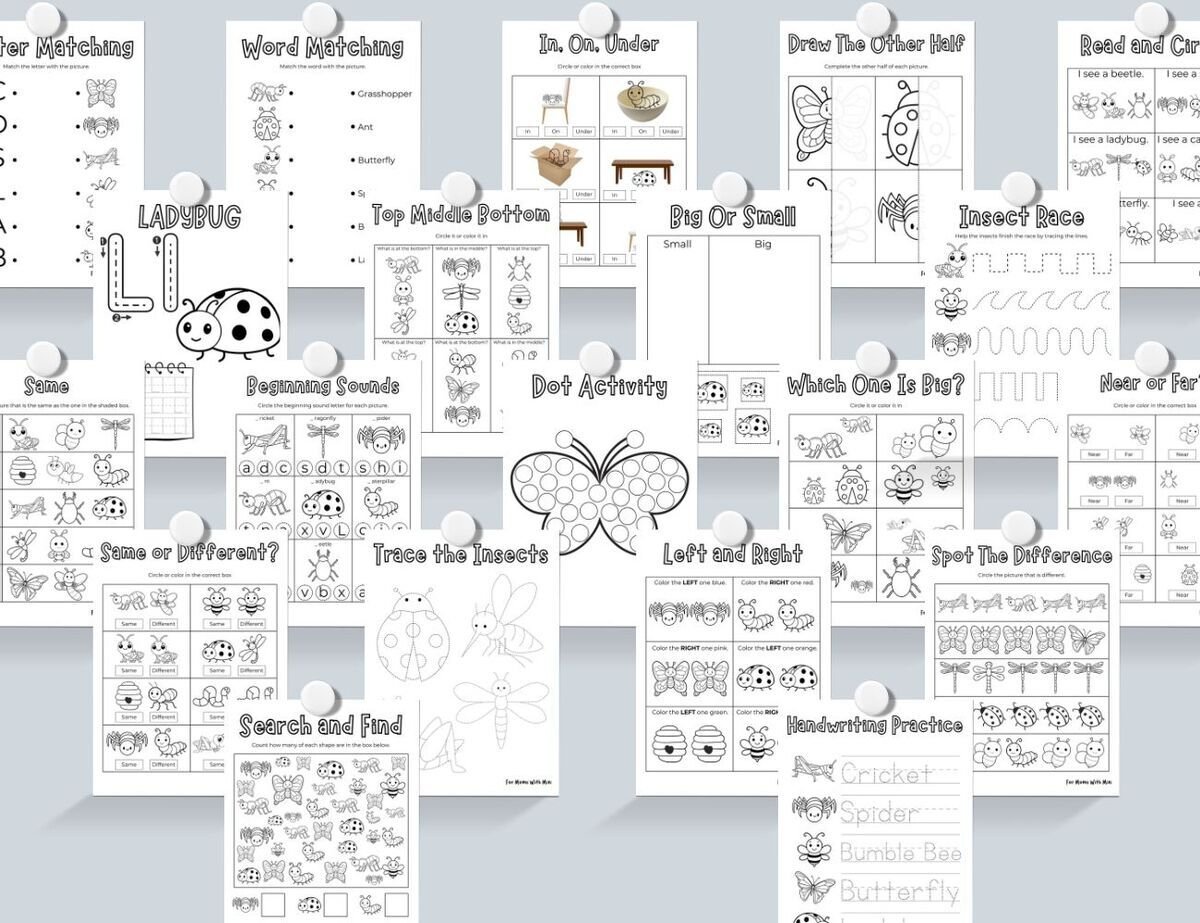 Insect Workbook for Kids