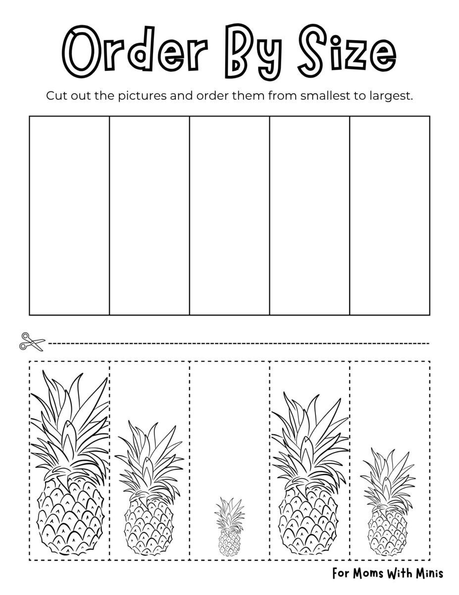 Order the Pineapples by Size