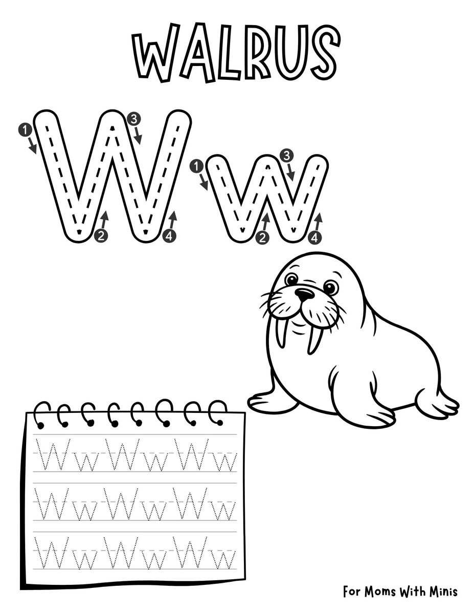 The Letter W is for Walrus Worksheet
