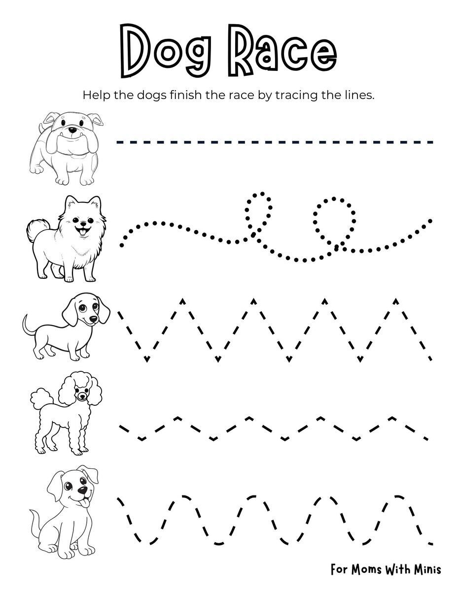 Dog Race Worksheet