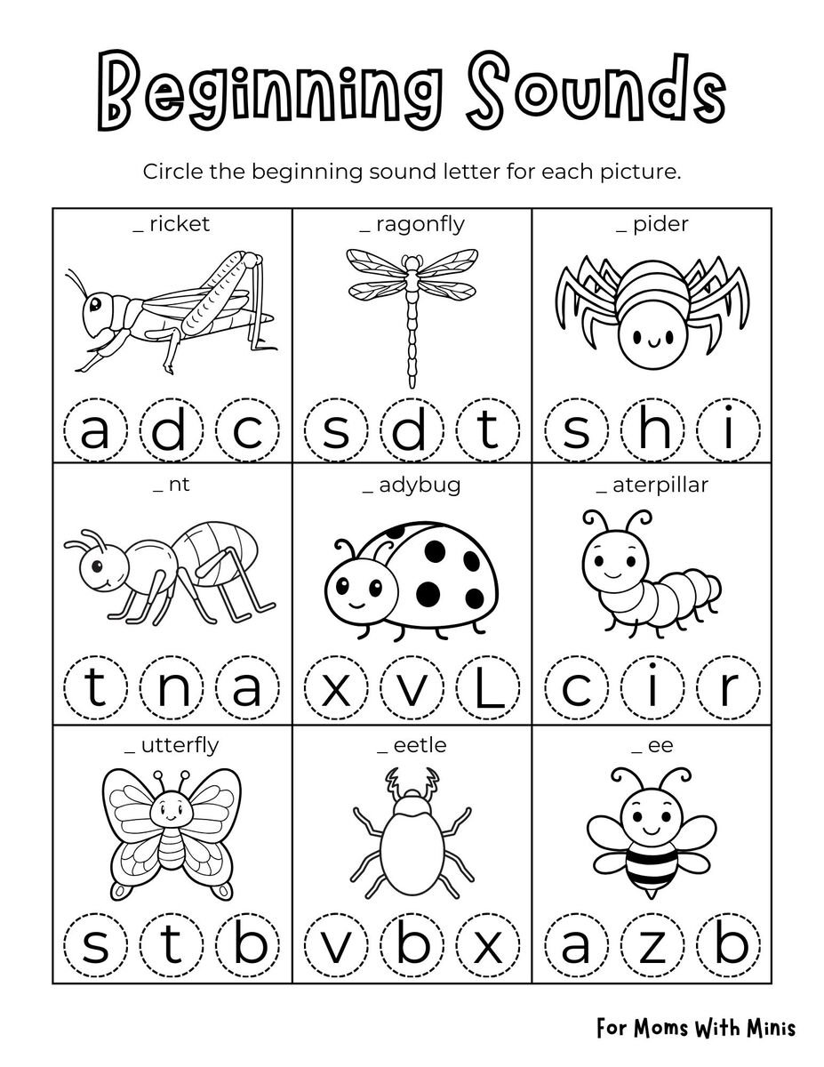 Insect Beginning Sounds Worksheet