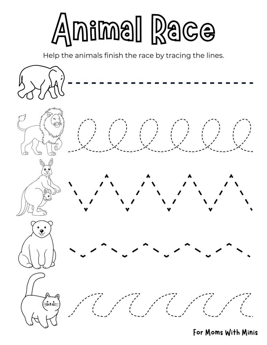Animal Race Worksheet