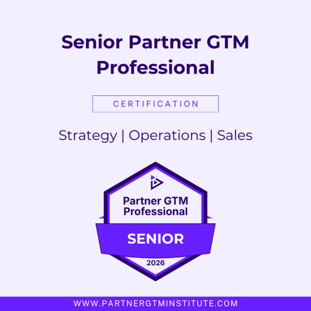 Senior PGTMP Certification (Strategy + Operations + Sales)