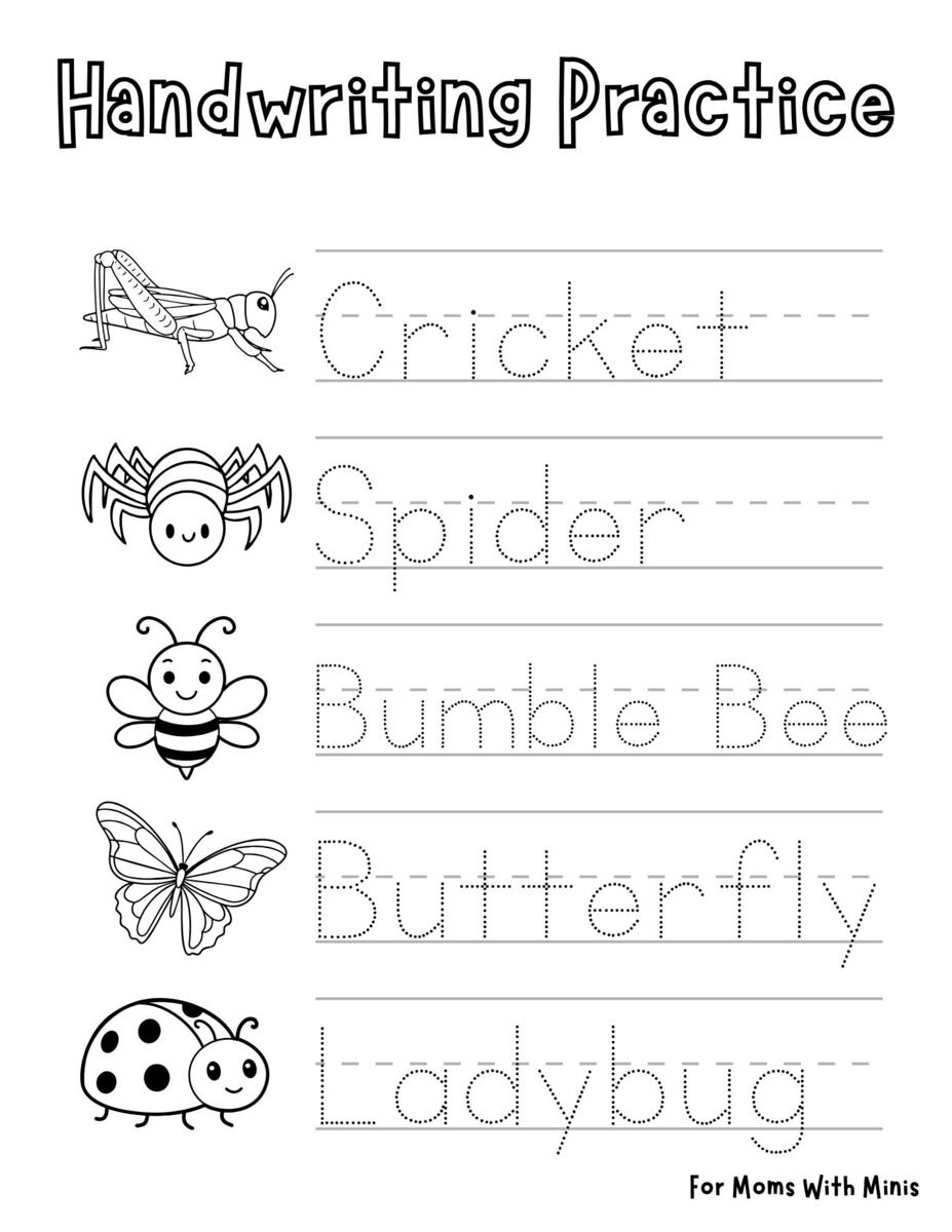 Insect Handwriting Practice