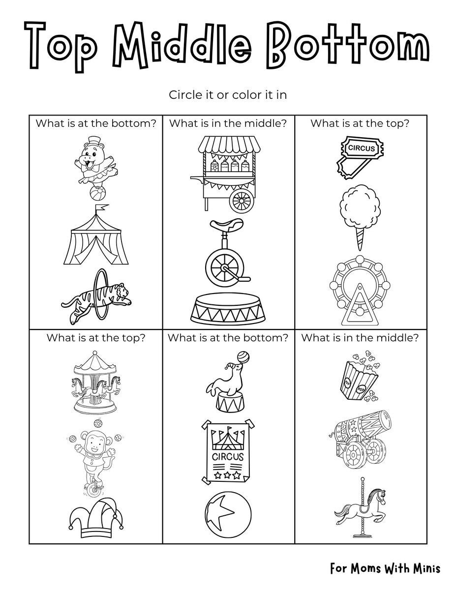 Circus-Themed Top Middle Bottom Worksheet