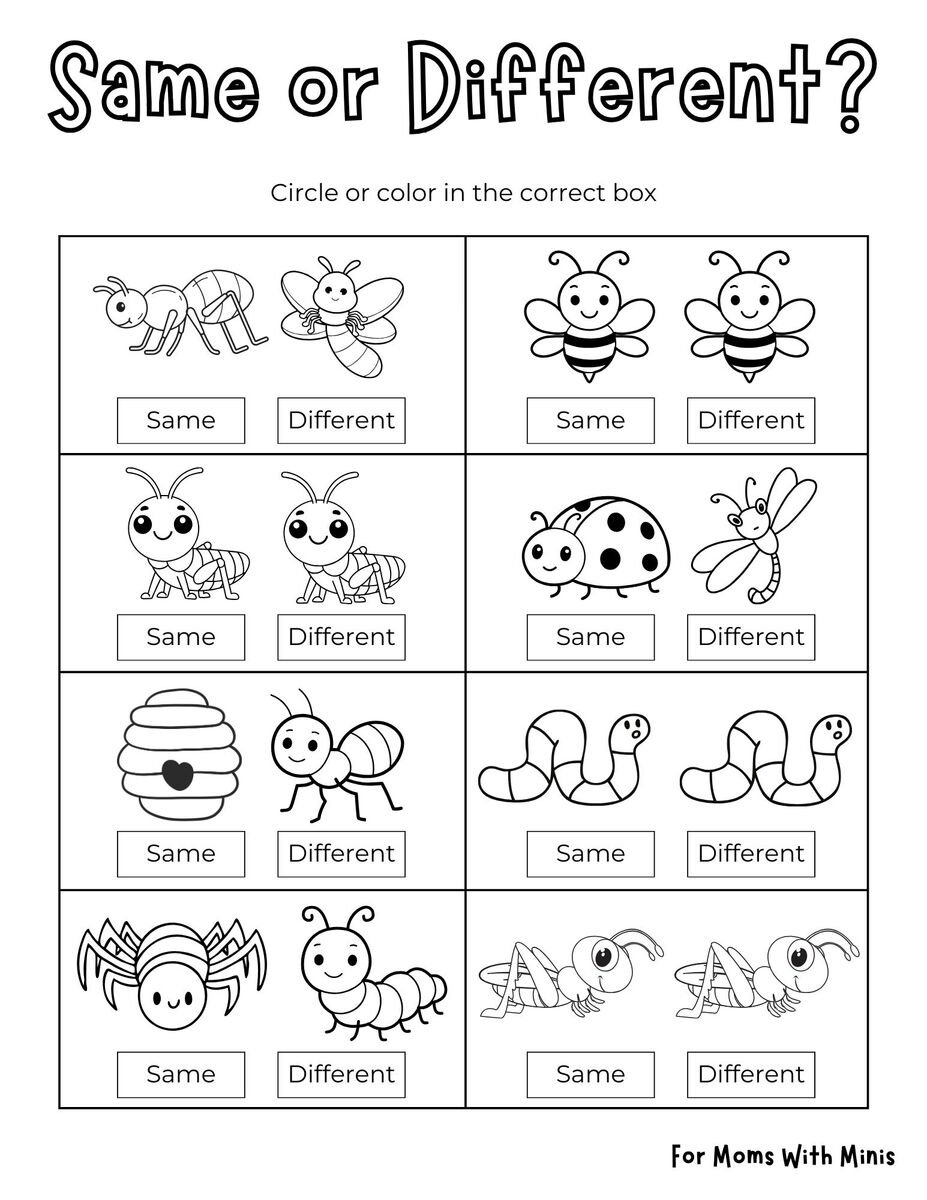 Same or Different Insects Worksheet