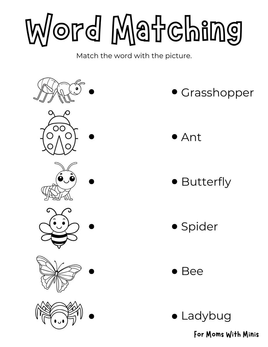 Insect Word Matching Worksheet