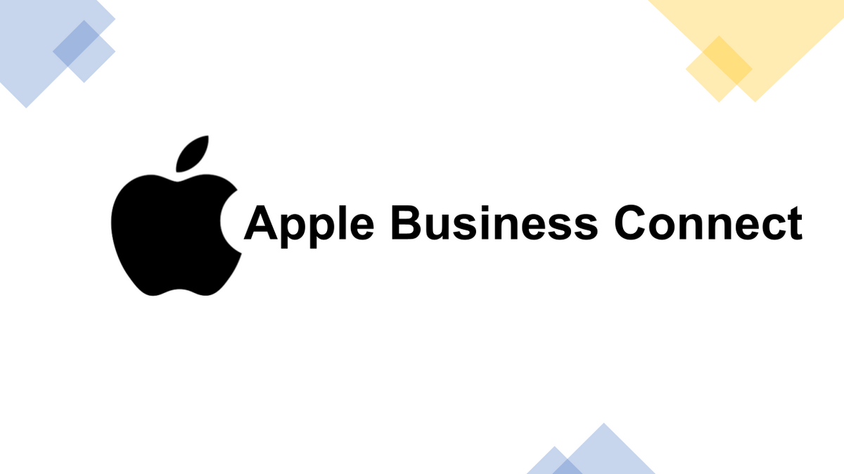 First call visibility audit score for Apple Business Connect